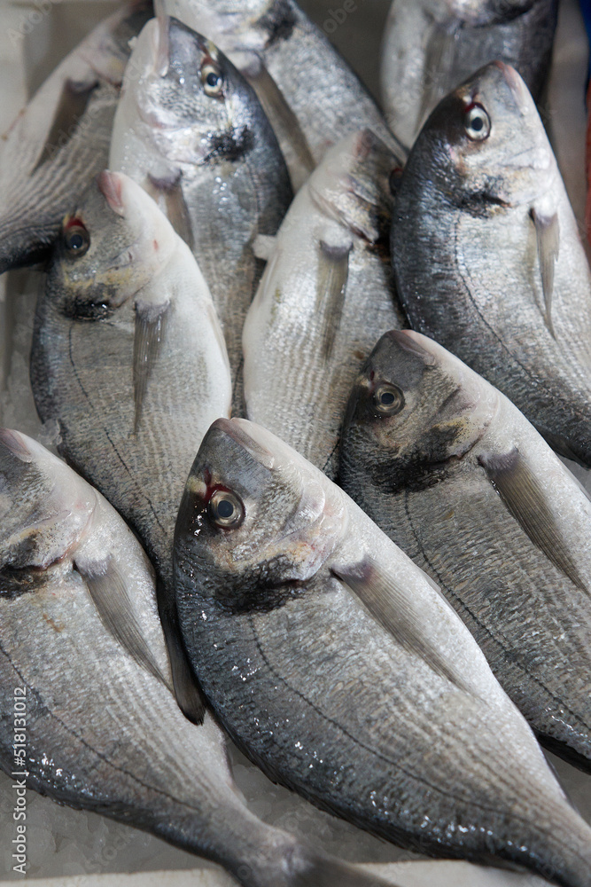 Obraz premium Various sea food and fresh ocean fish in lokal market orata sea bream close-up vertical