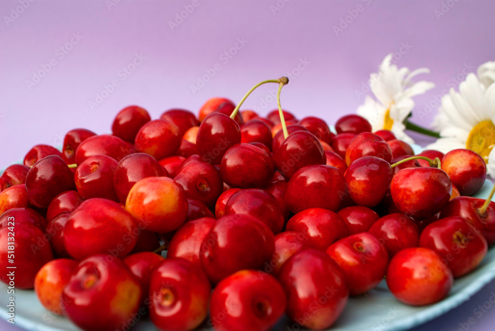 Ripe cherries in a round plate with daisies in the corner Ripe cherries in a round plate with daisies in the corner