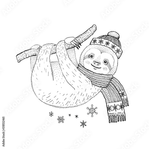 Christmas sloth. Coloring book funny line animal. Merry Christmas baby animal icon. Line sketchillustration for cute apparel print. Cartoon sloth in scarf on tree branch. Happy lazy winter character photo