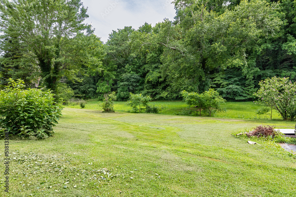 Naklejka premium mountain terrain