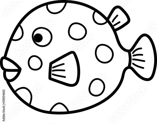 Bloated puffer fish