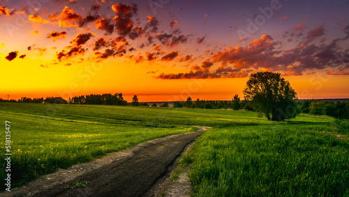 Country road in the evening