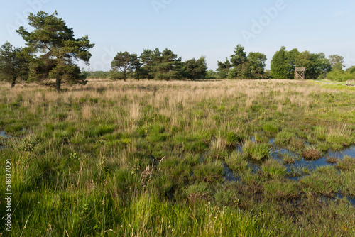 Nationaal Park De Groote Peel, National Park Groote Peel