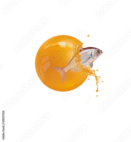 pageote  , ouf de poisson, naissance, poisson , évasion, sortir, bébé, jaune, orange, frais, pêcher, poisson, mer, océan, eau photo