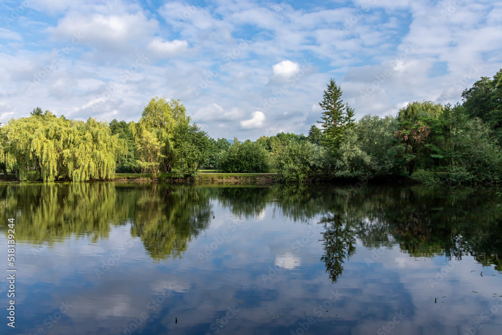 Trees and clouds reflected in the pond Trees and clouds reflected in the pond