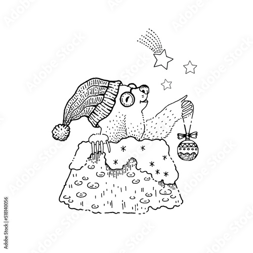 Groundhog mole Christmas vector. Cute mole holing a burrow in snow after hibernationto celebtate Christmas. Marmot funny animal. Vector element. Children cartoon winter xmas sketch. Coloring book art photo