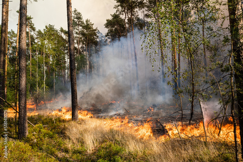 Flammenfront bei Waldbrand © Rico Löb