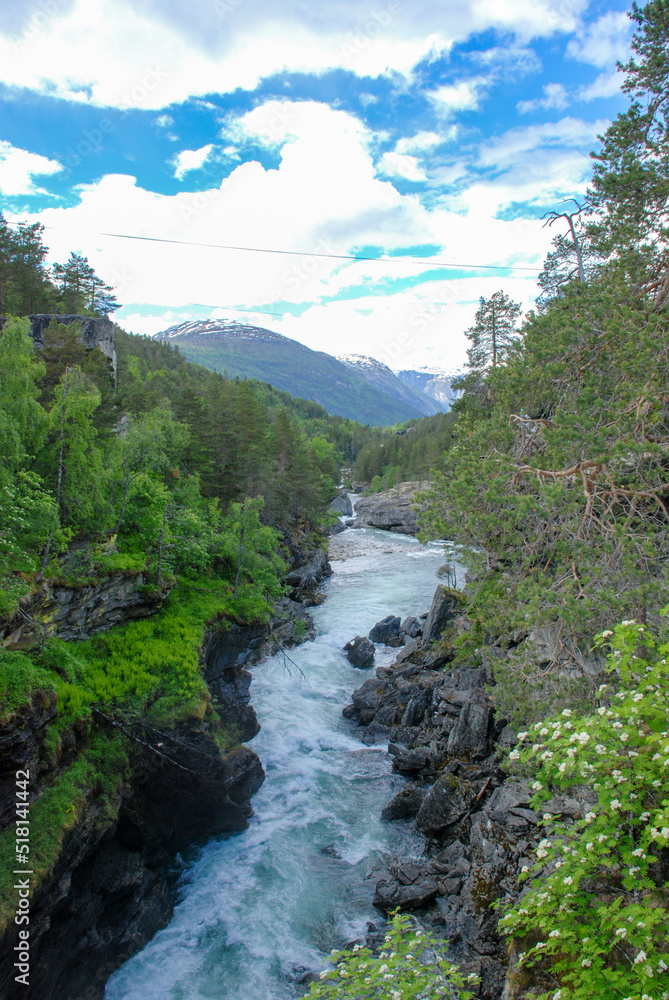 mountain river in the forest near Andalsnes Norway mountain river in the forest near Andalsnes Norway