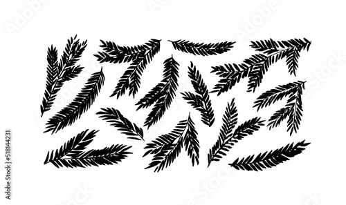 Christmas spruce tree branches set. Christmas and holiday vector decoration. Black botanical silhouettes isolated on white background. Pine or fir tree branches. Hand drawn simple black clip arts.