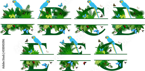 Jungle  Rainforest Alphabet Split Monogram set with animals. Initial letters of the monogram. A - G