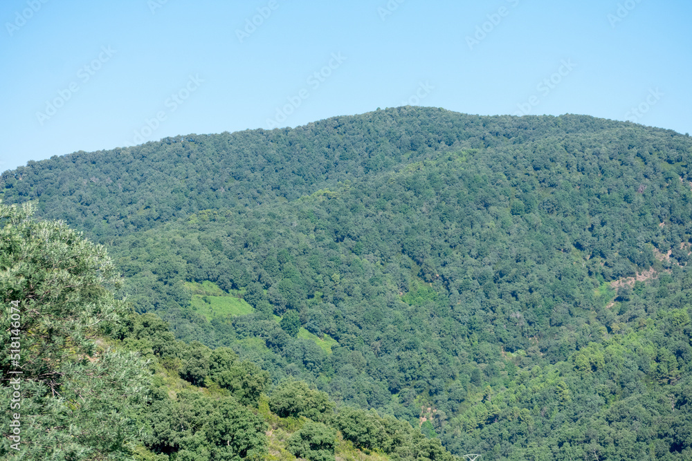 Scenic view of Mountains, The Mediterranean Sea and dense Forests from Skikda, Algeria