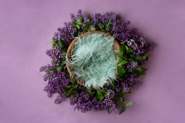 basket for a photo shoot, decorated with lilac flowers. newborn photography furniture on purple background. background decor for the photo zone. empty space for a child. photo template