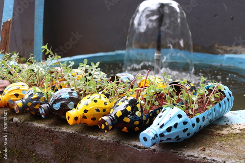 Diy garden idea with used plastic bottle