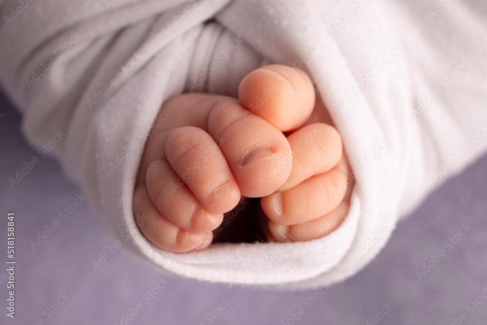 The tiny foot of a newborn. Soft feet of a newborn in a white blanket and on a purple background. Close up of toes, heels and feet of a newborn baby. Studio Macro photography. Woman's happiness. The tiny foot of a newborn. Soft feet of a newborn in a white blanket and on a purple background. Close up of toes, heels and feet of a newborn baby. Studio Macro photography. Woman's happiness.