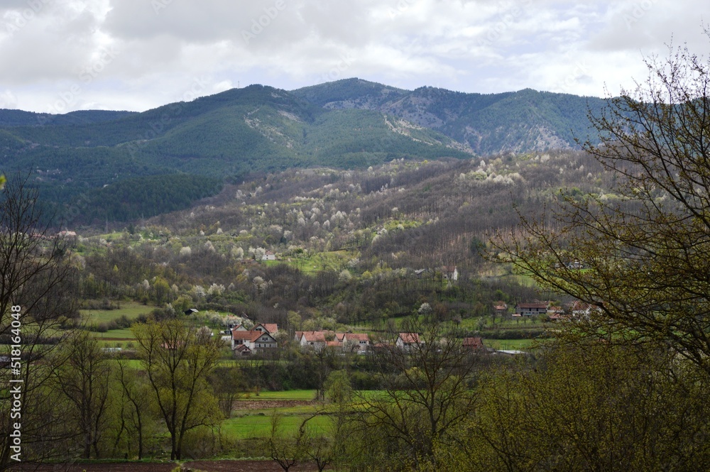 landscape of the village in spring