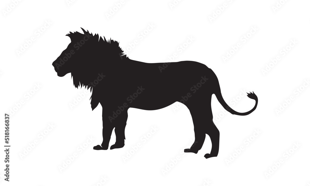 Obraz premium Lion Vector