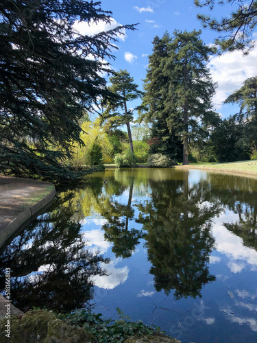 trees reflected in a small pond in park the saint-cloud