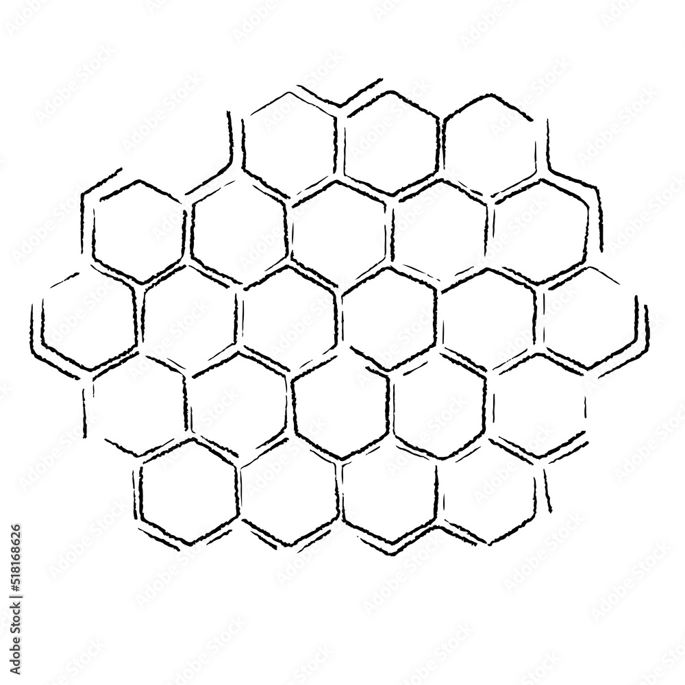 hand drawn honey comb. propolis honeycomb sketch. hand drawn honey comb.  Black and white image bee wax. Bee honey and propolis doodle vector. Stock  Vector