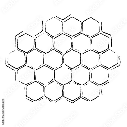 hand drawn honey comb. propolis honeycomb sketch. hand drawn honey comb. Black and white image bee wax. Bee honey and propolis doodle vector.