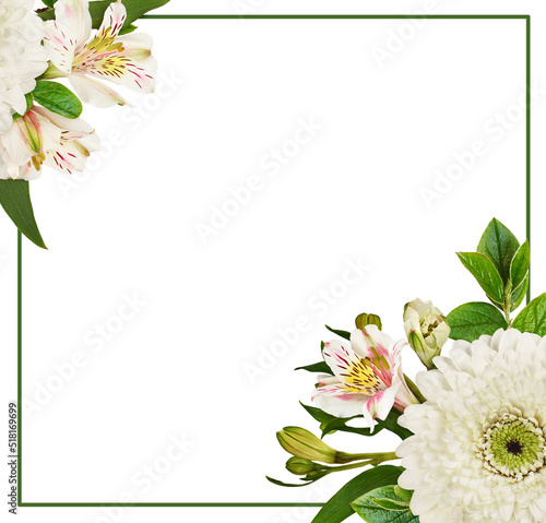 White flowers of gerbera an...