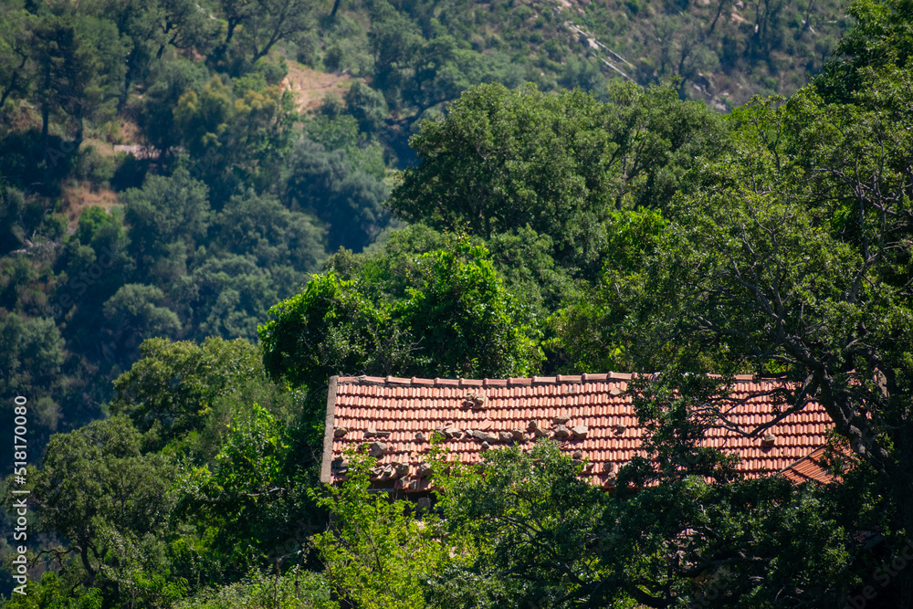 Scenic view of Mountains, The Mediterranean Sea and dense Forests from Skikda, Algeria Scenic view of Mountains, The Mediterranean Sea and dense Forests from Skikda, Algeria