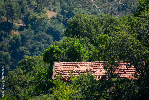 Scenic view of Mountains, The Mediterranean Sea and dense Forests from Skikda, Algeria photo