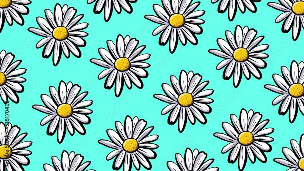 Animated hand drawn daisy pattern design. Daisy flower animation. 4k