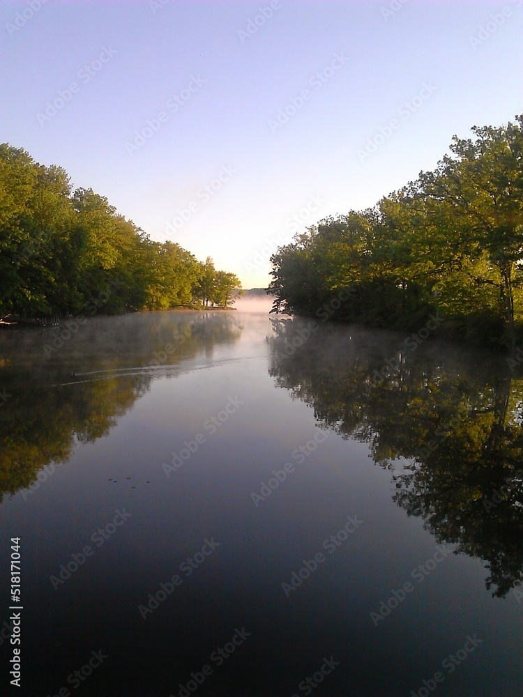 Obraz premium Trees mist water reflection