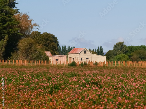 Rustic old wooden farm building across field of wildflowers