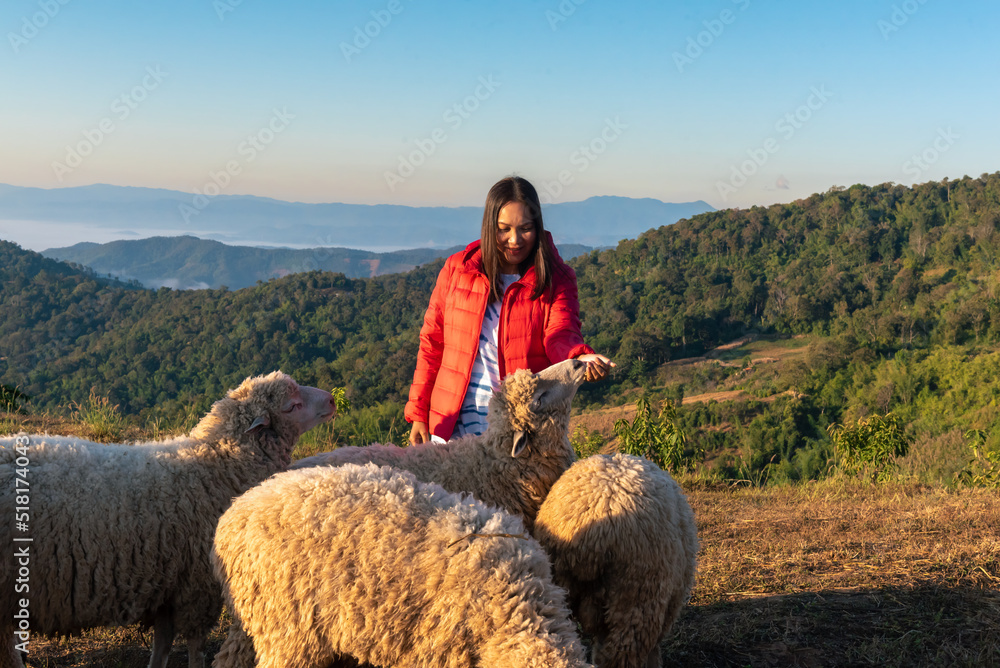 Happy Asian woman feeding sheep.