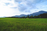 Meadows near the Alps against the backdrop of unusually beautiful clouds