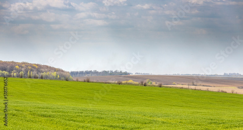 Agricultural work in the field in early spring. Landscape with a view of the endless green field of grass and deep sky. Beautiful spring rural landscape.