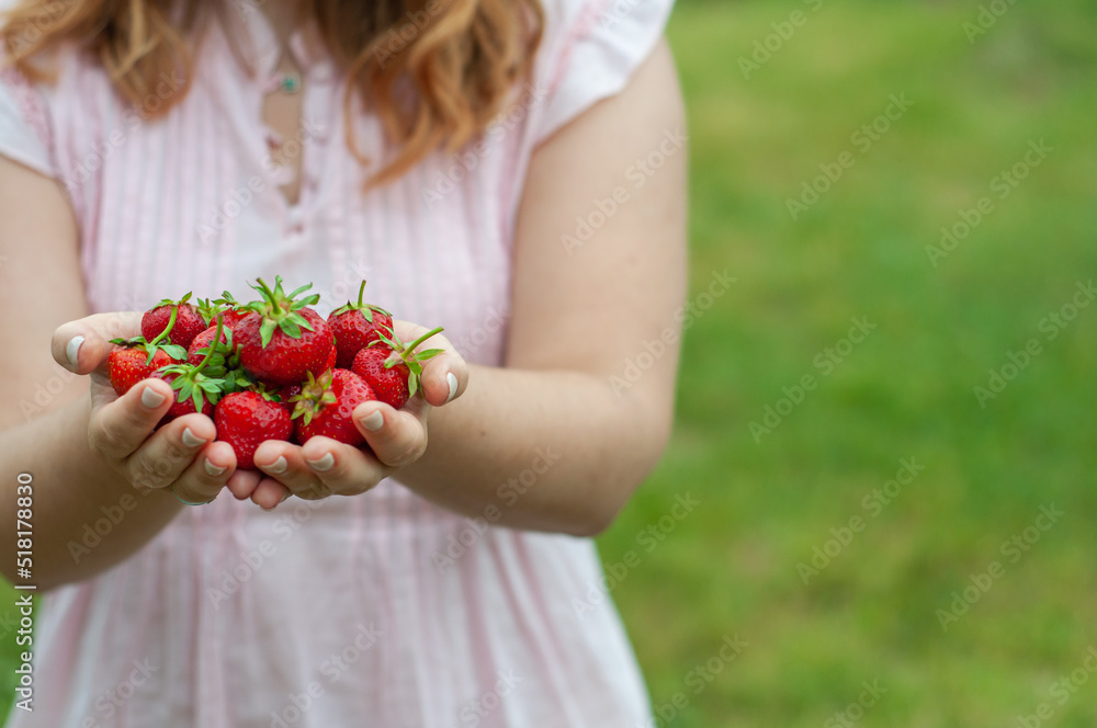 girl holding strawberry in hands on green background in pink t-shirt faceless summer seasonal fruit red berries place for text