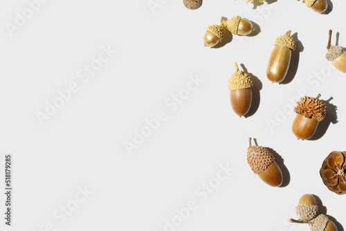 Top view autumn pattern from natural materials, natural golden painted acorns oak tree, dry seeds on white background. Autumnal minimal style flat lay, aesthetics fall image, above view