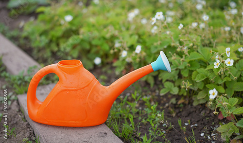 orange watering can in the green garden