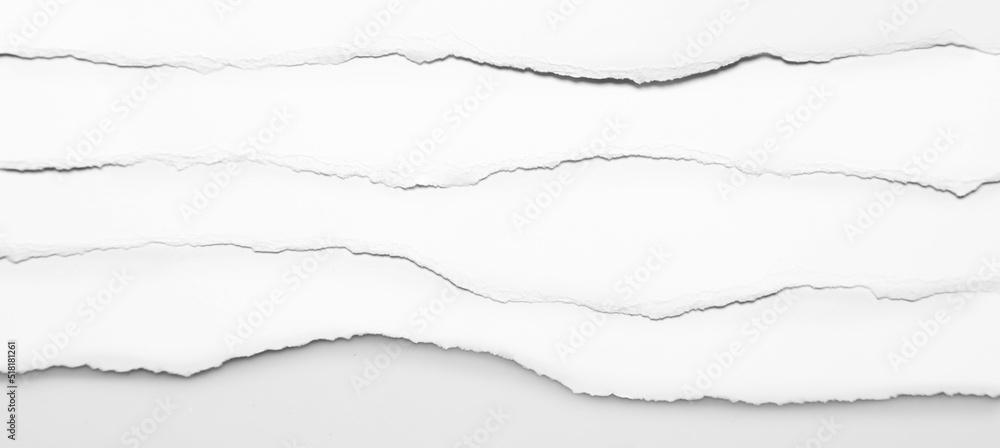 Edges of ripped paper Edges of ripped paper