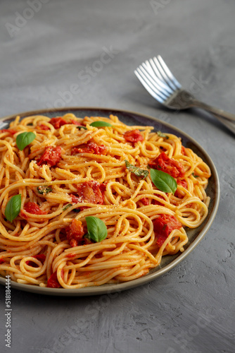 Homemade Spaghetti Pasta with Fresh Tomato Sauce on a Plate on a gray background  side view. Close-up.