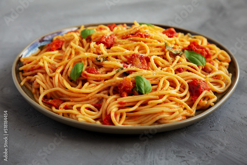 Homemade Spaghetti Pasta with Fresh Tomato Sauce on a Plate on a gray background, side view. Close-up.