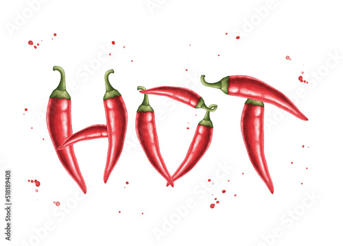 Red hot chili peppers, whole pods spelling the word hot. Hand drawn watercolor illustration isolated on white background