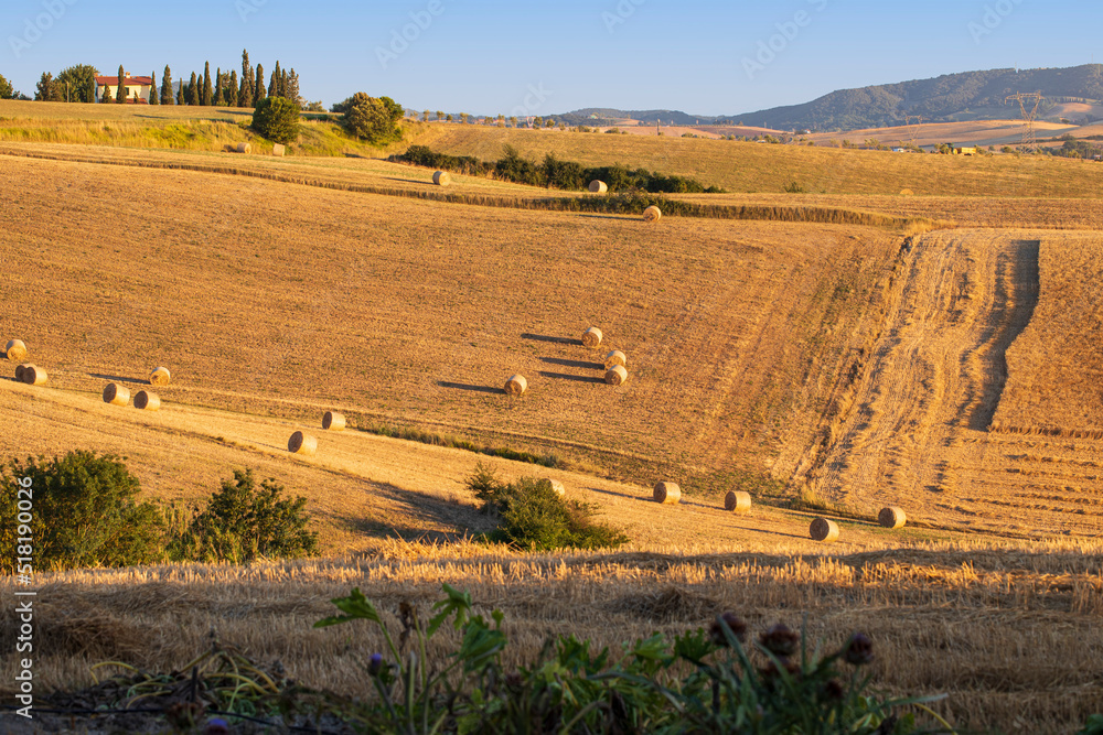 Tuscany landscape, hills fields, mountains, grass, hay