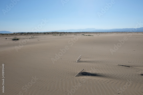 desert sand on a beach