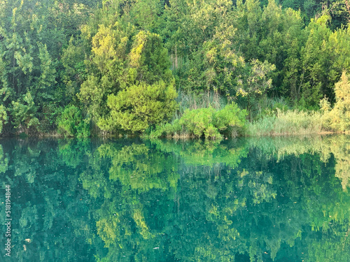A natural mirror in the forest