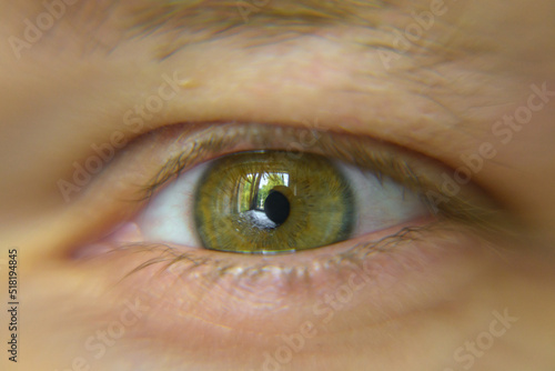 Oko ludzkie - zielona tęczówka photo