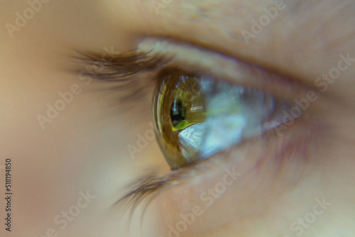 Oko ludzkie - zielona tęczówka