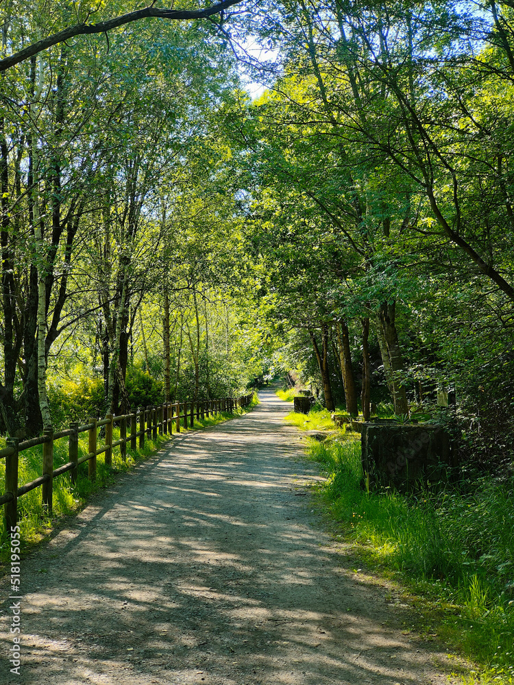 path in the park