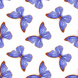 Watercolor vector illustration of seamless pattern with butterflies