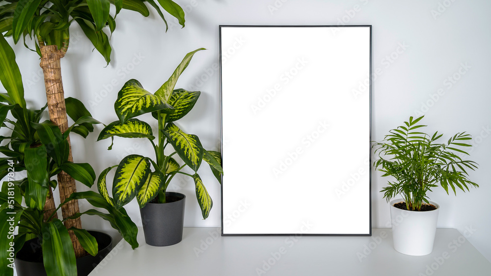 Modern panel with plant in an office room. Minimalist black frame mockup