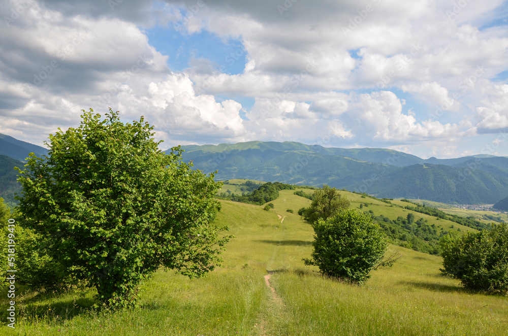 Footpath through grassy green hills and slopes of Carpathian Mountains during summer day. The hilly landscape is perfect for hiking.