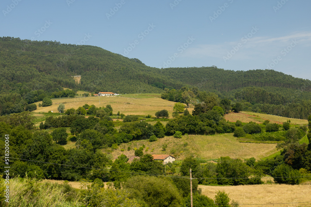 hill of the bush planted with grass for cattle with houses in baquio Spain