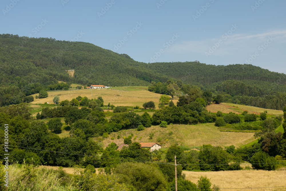 hill of the bush planted with grass for cattle with houses in baquio Spain hill of the bush planted with grass for cattle with houses in baquio Spain